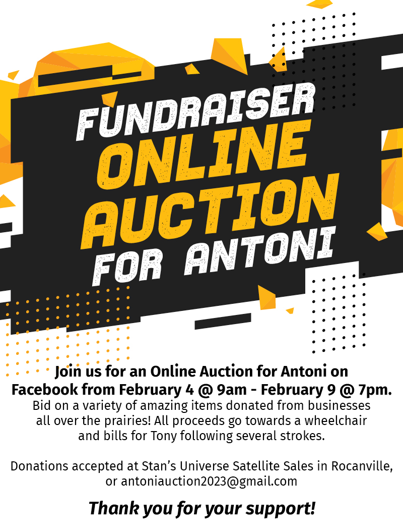 Online Auction Fundraiser for Antoni